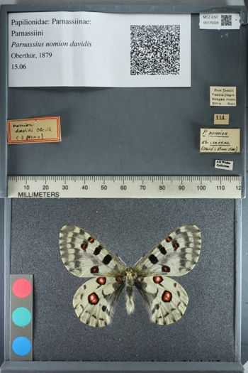 Media type: image;   Entomology 175028